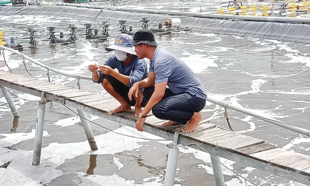 Nuôi trồng thuỷ sản phải chú trọng bảo vệ môi trường, giảm phát thải.