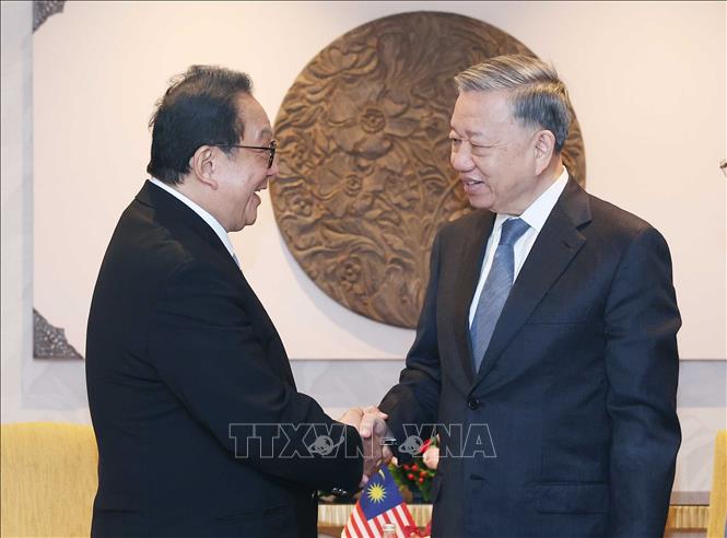 Tổng Bí thư Tô Lâm tiếp Chủ tịch Tập đoàn YTL Tan Sri Francis Yeoh - Ảnh: TTXVN