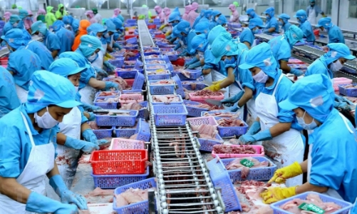 Xuất khẩu thủy sản 10 tháng đạt trên 8,3 tỷ USD, các mặt hàng chủ lực tăng trưởng tích cực 