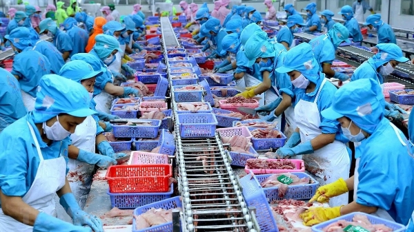 Xuất khẩu thủy sản 10 tháng đạt trên 8,3 tỷ USD, các mặt hàng chủ lực tăng trưởng tích cực 