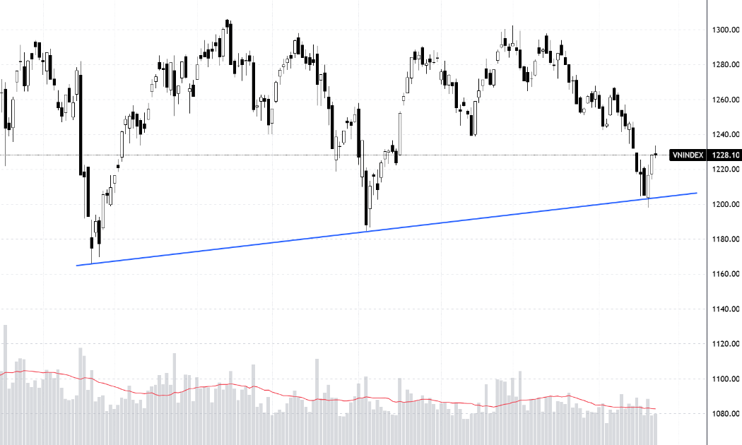 VN-Index đã phản ứng khá tốt tại vùng 1200 điểm tuần qua.