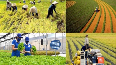 Vietnam seeking carbon credits for agriculture