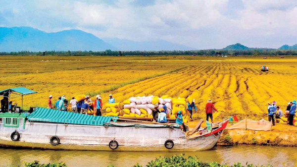 Giải bài toán nguồn vốn để đánh thức “vùng đất chín rồng”
