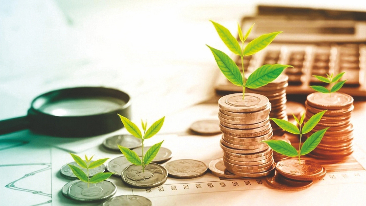 Thị trường tín dụng xanh tại Việt Nam đang có xu hướng dịch chuyển - Ảnh minh họa.