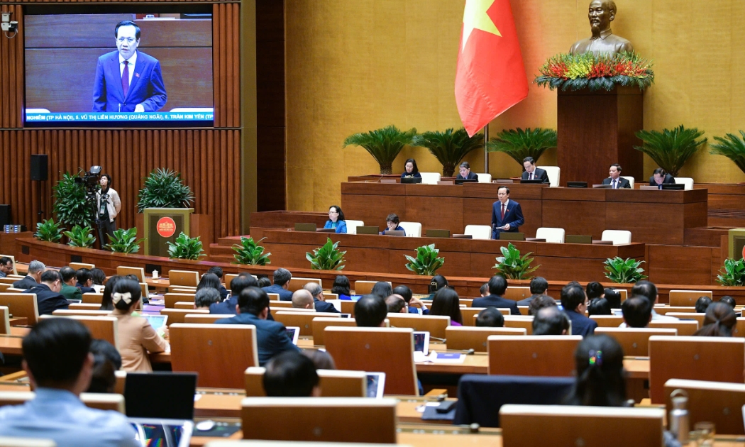 Bộ trưởng Bộ Lao động - Thương binh và Xã hội Đào Ngọc Dung giải trình trước Quốc hội. Ảnh: Quochoi.vn.