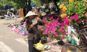 Phần lớn người cao tuổi ở nước ta có cuộc sống khó khăn, thu nhập thấp, phụ thuộc vào trợ cấp xã hội  
