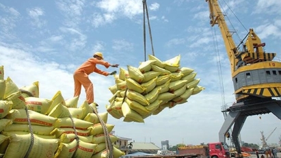 Rice export revenue hits new record of $5.05 bln