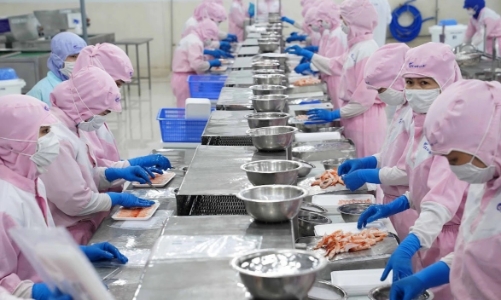 Gỡ vướng cho doanh nghiệp trong cấp giấy xác nhận nguyên liệu, khai thác thủy sản