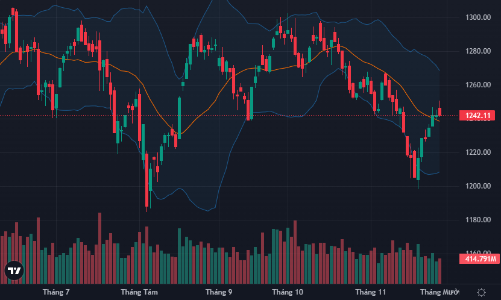 Rung lắc, VN-Index vẫn trụ vững trên mốc 1240 điểm