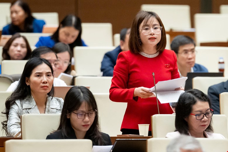 Đại biểu Nguyễn Việt Hà , đoàn Tuyên Quang.