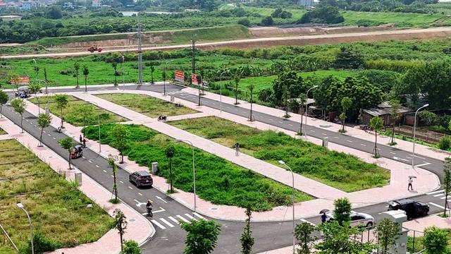 Need for transparency in land auctions