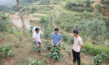 Tây Bắc phát triển nông nghiệp sinh thái - tuần hoàn