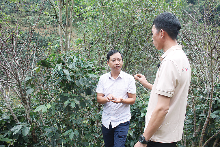 Chuyên gia Nguyễn Hoàng Phương  (bên trái) và Lò Văn Pun (bên phải) cùng chia sẻ về quy trình canh tác sinh thái 