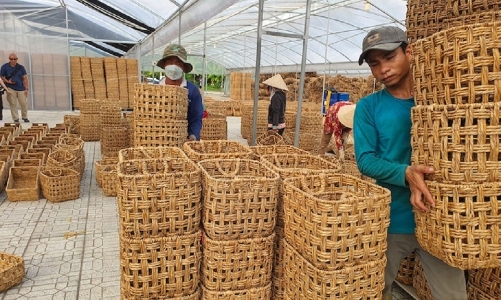 Doanh nghiệp kỳ vọng “đòn bẩy” chính sách để phục hồi và phát triển