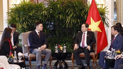 Singapore's group expects to expand industrial park investments in Vietnam