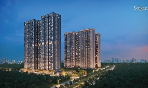 Căn hộ “chiếm sóng” bất động sản cho thuê