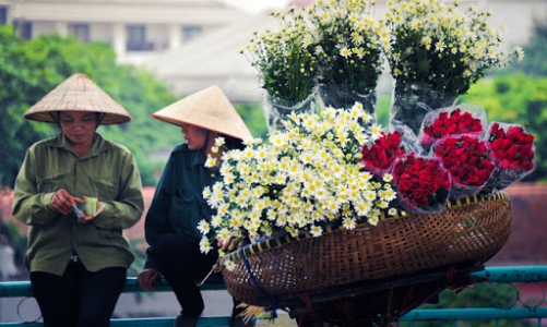 Thu nhập của lao động phi chính thức thấp hơn đáng kể so với nhóm chính thức 