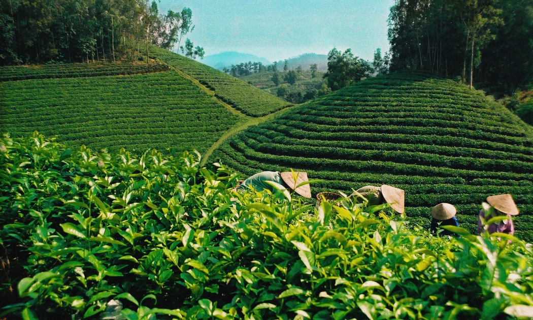 Việt Nam đang ở vị trí top 25% toàn cầu về cải thiện mức độ nền kinh tế xanh.