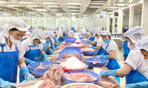 Cá tra Việt Nam đáp ứng nhu cầu sản phẩm có giá thành hợp lý tại Ai Cập