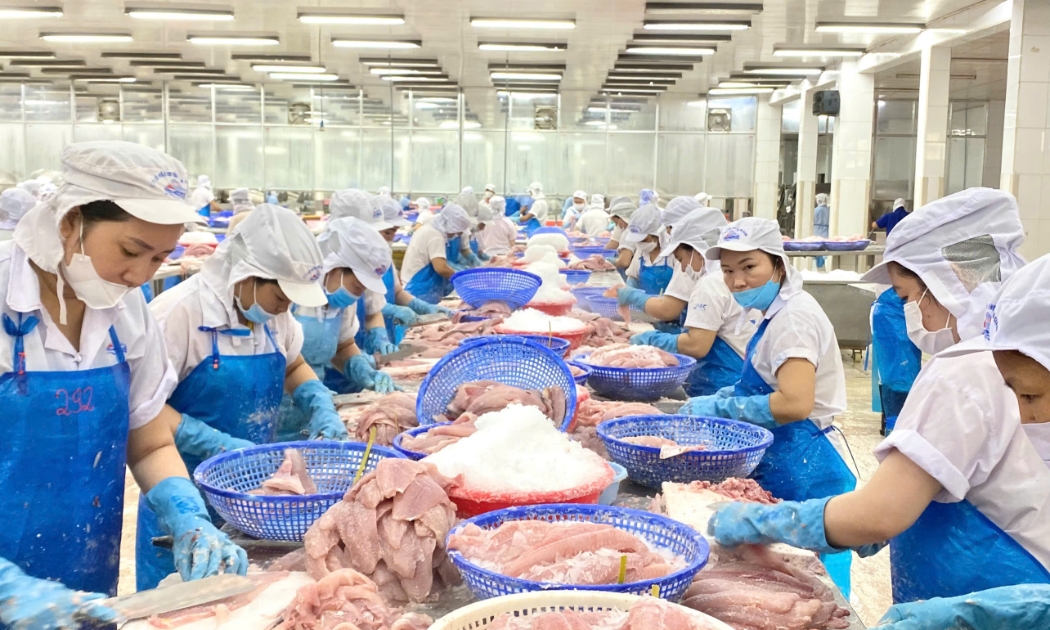 Ai Cập chủ yếu nhập khẩu cá tra phile đông lạnh từ Việt Nam. Ảnh minh họa.