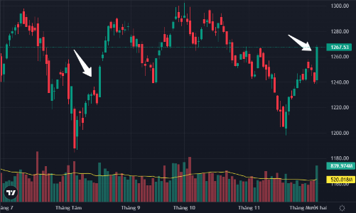 “Nhịn” không nổi, tiền lớn đổ ào vào mua, VN-Index tăng dựng đứng kỷ lục 16 tuần