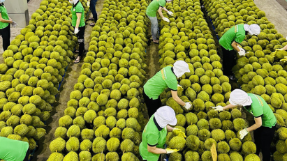 Fruit and vegetable exports fetch $6.66 bln in 11M