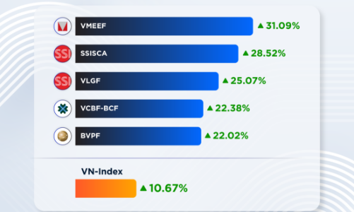 Năm 2024 có phải một năm “ấm túi” của nhà đầu tư quỹ mở?