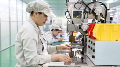 Vietnam's overseas investment surged sharply in the first 11M