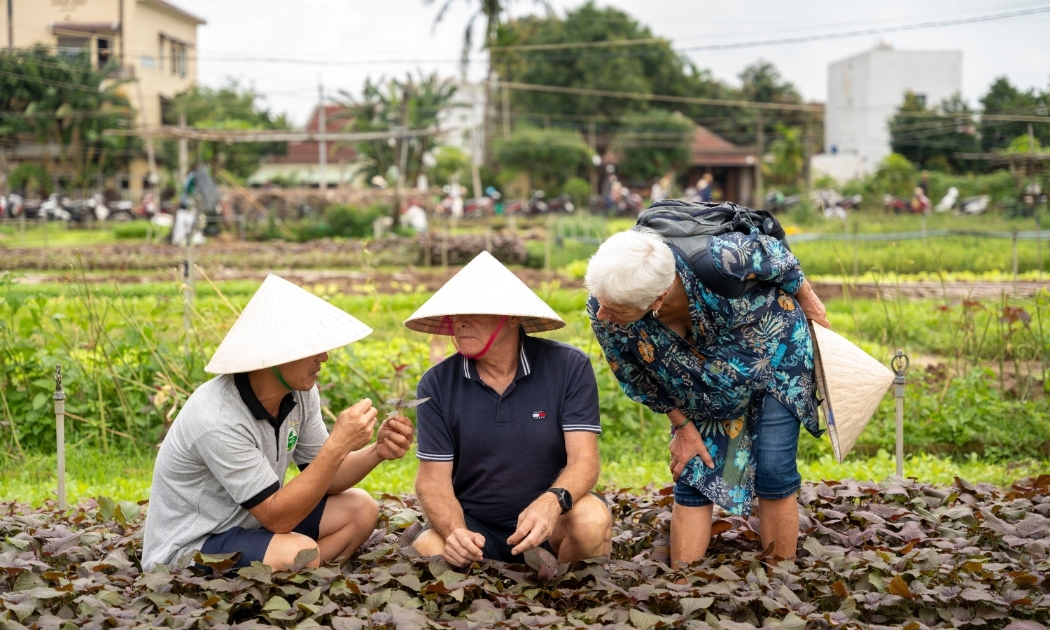 Du khách nước ngoài trải nghiệm thực tế tại Làng rau Trà Quế.