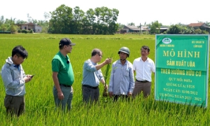 Chuyển đổi nông nghiệp sinh thái để giảm phát thải khí nhà kính