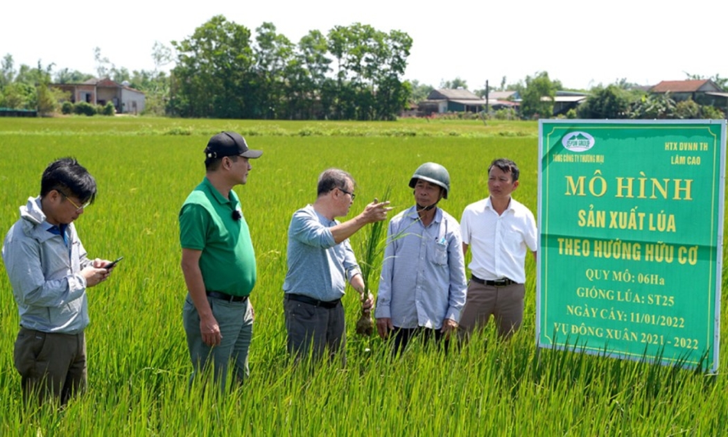 Nông nghiệp hữu cơ là một trong 6 nhóm mô hình nông nghiệp sinh thái.