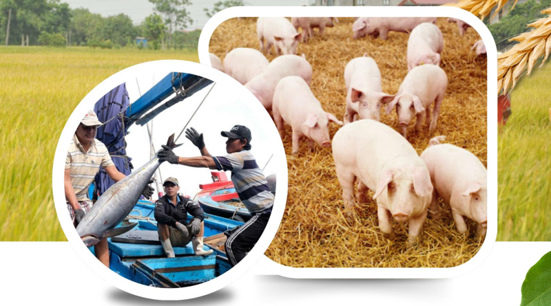 Agro-forestry-fishery exports set new record in 11M