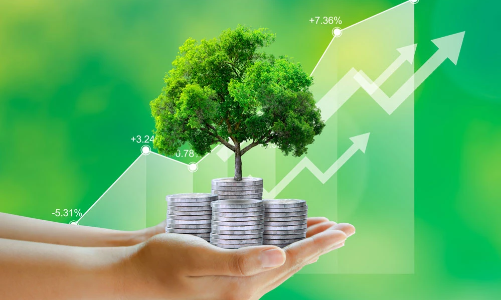 Sẽ có tiêu chí môi trường và xác nhận với dự án được cấp tín dụng xanh