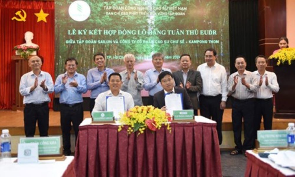 Công ty CP Cao su Chư Sê Kampong Thom và Tập đoàn Sailun ký kết hợp đồng mua bán mủ cao su đáp ứng EUDR theo yêu cầu của khách hàng.