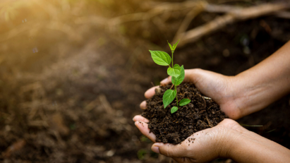 Vietnam-Czech cooperation in environmental protection