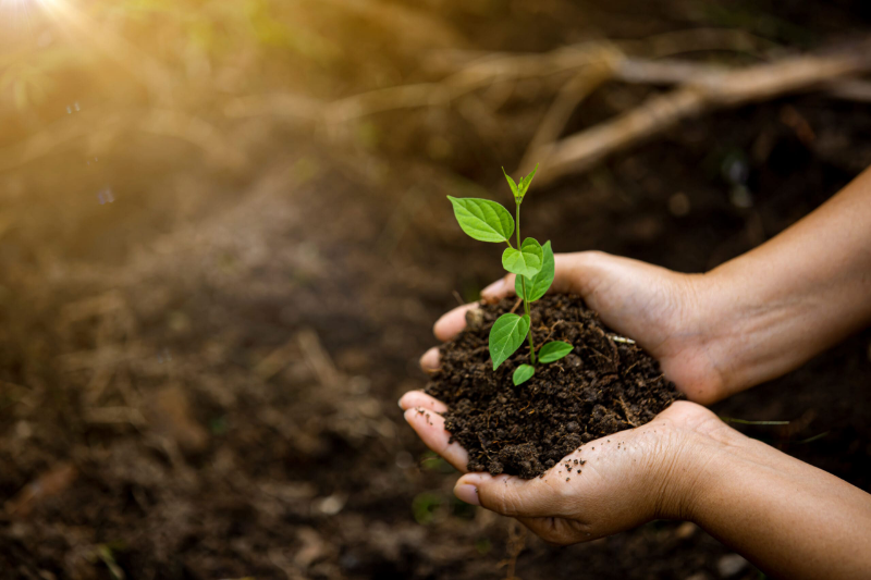 Vietnam-Czech cooperation in environmental protection