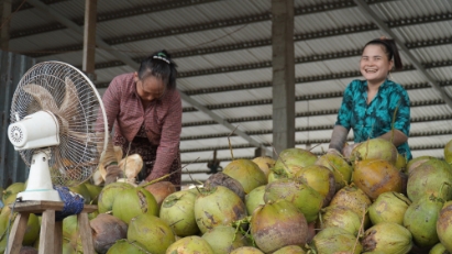 Coconut exports set to hit $1 billion