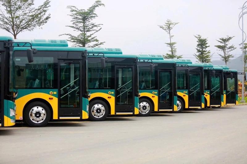 HCM City to launch 17 electric bus routes connecting to metro stations