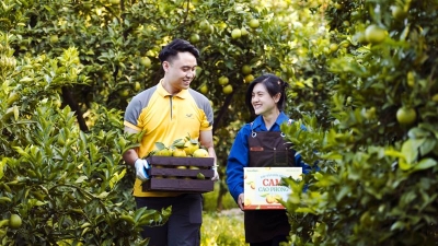 Vietnam Post unveils e-commerce platform to promote high-quality agricultural products
