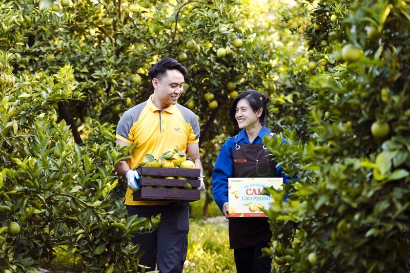 Vietnam Post unveils e-commerce platform to promote high-quality agricultural products