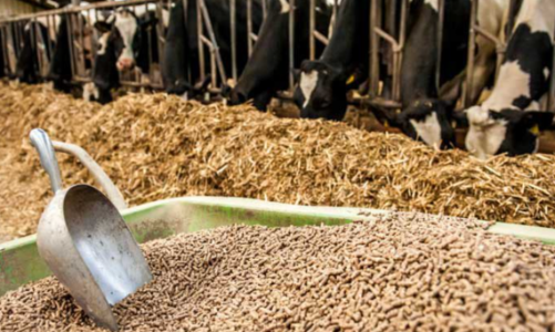 Luật chất lượng hàng hoá nhiều bất cập, dễ bị lạm dụng gây phiền phức cho doanh nghiệp