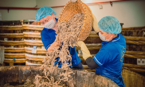 Lối đi mới để gìn giữ làng nghề 200 năm tuổi của thương hiệu nước mắm Thanh Hóa