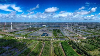 Japan places Vietnam second on investment wishlist