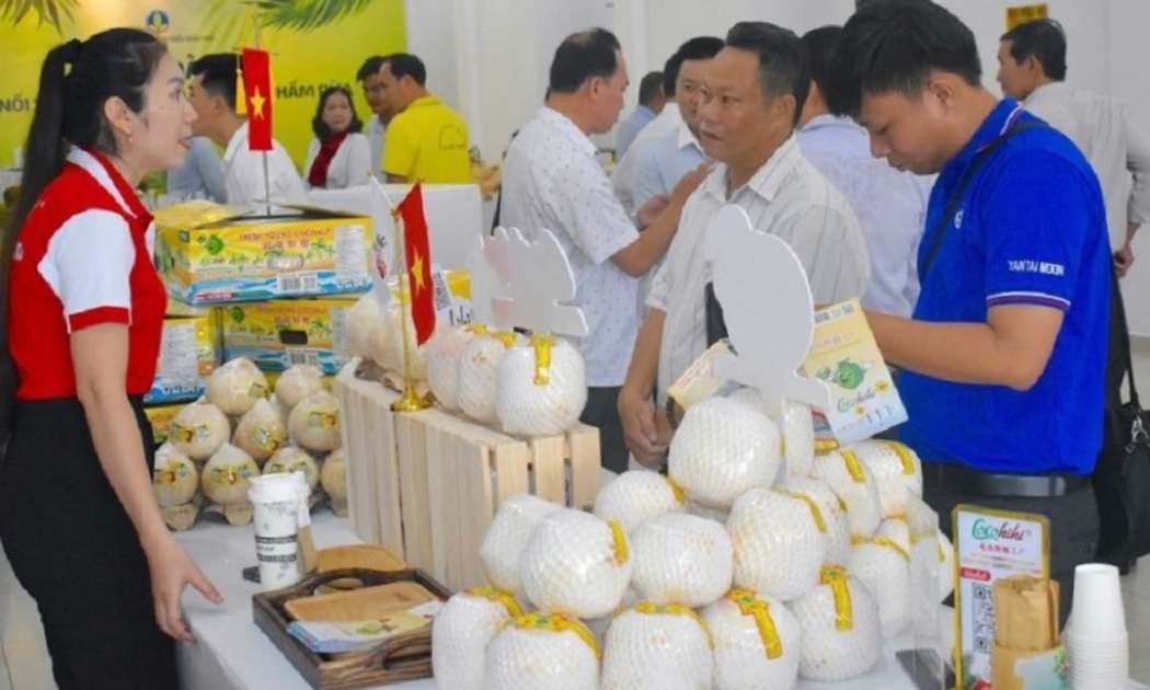Dừa Việt Nam đang trở thành mặt hàng xuất khẩu với giá trị cao.