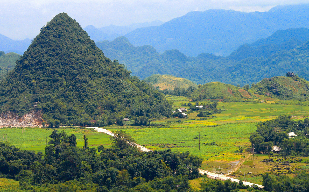 Dự án 