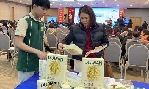 Các dự án khởi nghiệp của Việt Nam kỳ vọng sẽ mang đến những bước tiến lớn trên trường quốc tế 