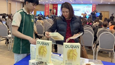 VCCI hosts 2024 startup festival