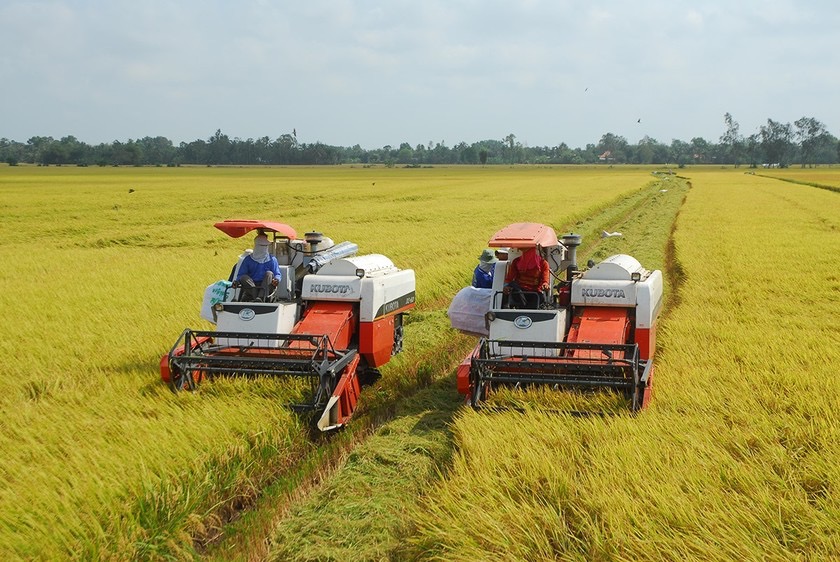 Lĩnh vực nông nghiệp nhận được nhiều chính sách tín dụng ưu đãi nhất so với các lĩnh vực khác trong nền kinh tế. 