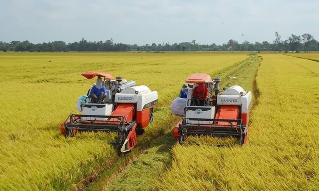 Lĩnh vực nông nghiệp nhận được nhiều chính sách tín dụng ưu đãi nhất so với các lĩnh vực khác trong nền kinh tế.