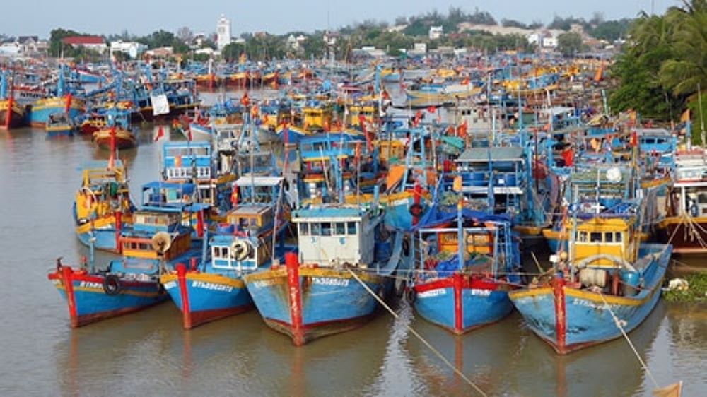 Tiến tới chấm dứt hoàn toàn tàu cá "3 không".